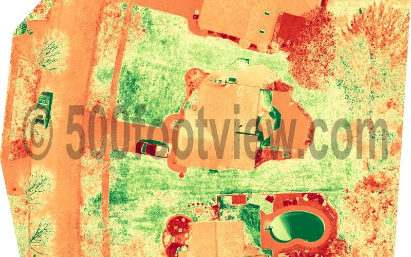 Orthomosaic processed to show plant health